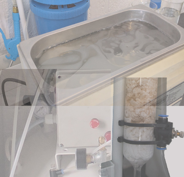 STELSEP laboratory